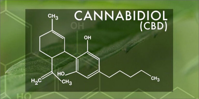 Μάθε για την Kανναβιδιόλη (CBD) και τις ευεργετικές του ιδιότητες