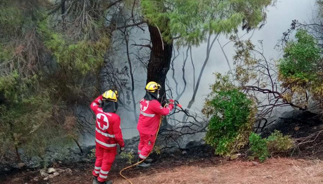 Εθελοντής για φωτιά στην Εύβοια: Πρόκειται για ολοκληρωτική καταστροφή