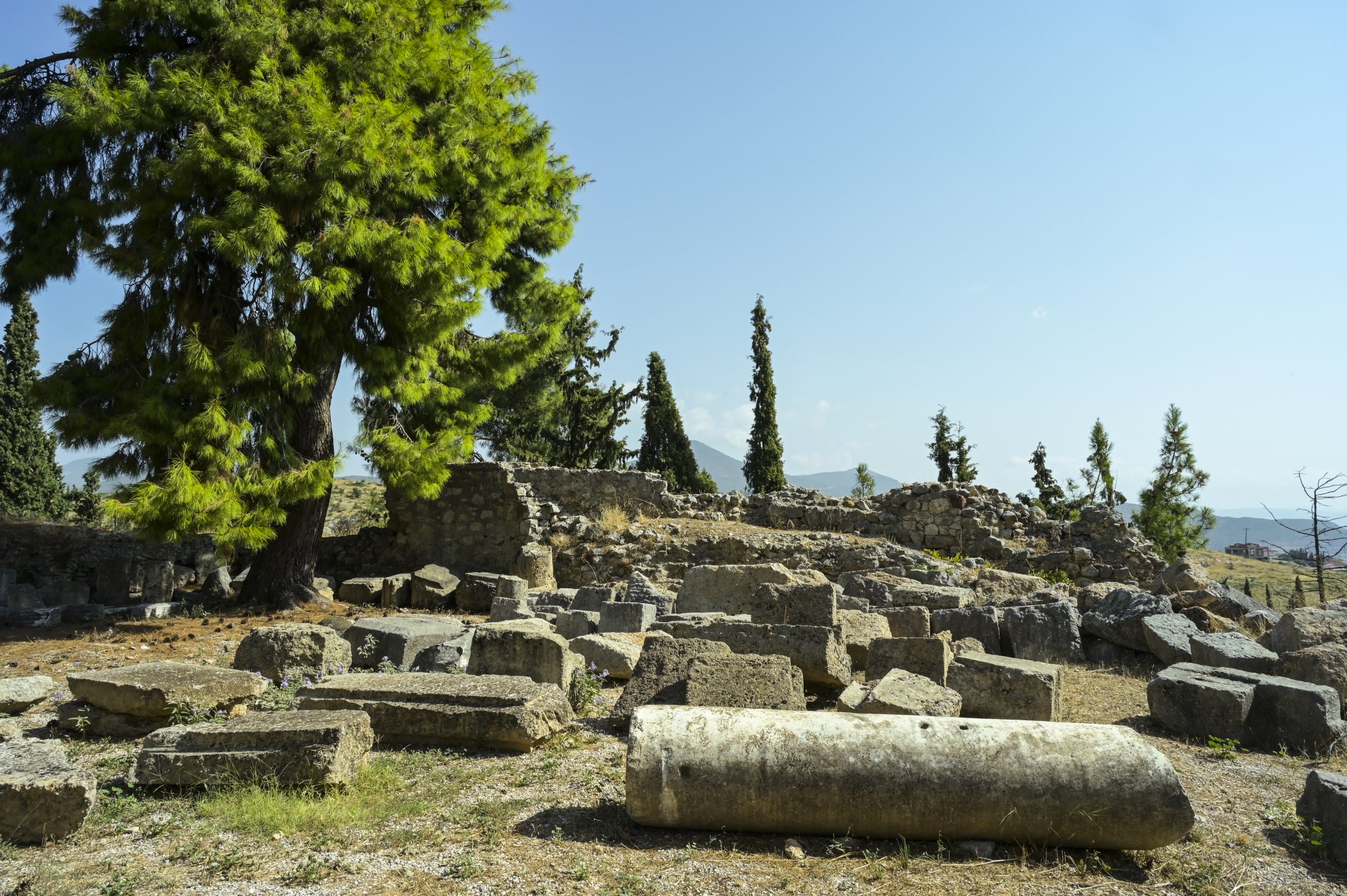 Φεστιβάλ Θερμοπυλίων 2024: Μια Πολιτιστική Γιορτή Εξωστρέφειας και Ιστορίας