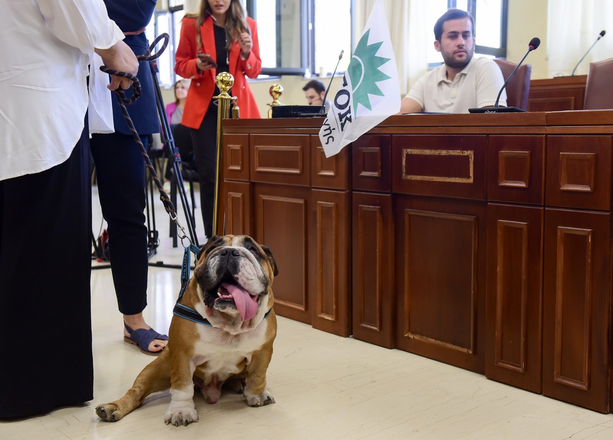 Μεγάλη Συμμετοχή στην Εκλογική Αναμέτρηση του ΠΑΣΟΚ γεμίζει τις Ουρές Η ελπίδα για μια ισχυρή Αντιπολίτευση